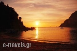 Corfu Sea Palm_s __1