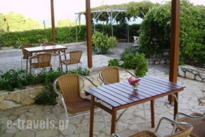 Thanasis' apartments_holidays_in_Room_Ionian Islands_Kefalonia_Kefalonia'st Areas