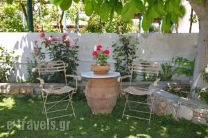 Irene Studios_best prices_in_Apartment_Sporades Islands_Skopelos_Skopelos Chora