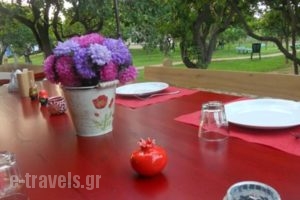 Le Jardin De Temeni_holidays_in_Hotel_Peloponesse_Achaia_Kalavryta