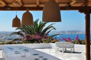 Agnandi_best deals_Apartment_Cyclades Islands_Mykonos_Agios Stefanos
