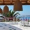 Agnandi_best deals_Apartment_Cyclades Islands_Mykonos_Agios Stefanos