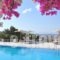 Agnandi_best prices_in_Apartment_Cyclades Islands_Mykonos_Agios Stefanos