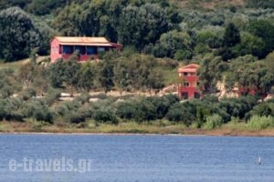 Bioporos_holidays_in_Hotel_Ionian Islands_Corfu_Corfu Rest Areas