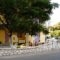 The Garden'S Studios_accommodation_in_Hotel_Ionian Islands_Kefalonia_Kefalonia'st Areas