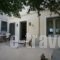 Sofi's Suites_best deals_Room_Cyclades Islands_Andros_Andros Chora