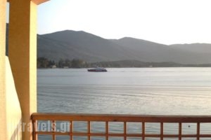 Hotel Pavlou_travel_packages_in_Piraeus islands - Trizonia_Trizonia_Trizonia Rest Areas