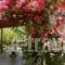 Le Jardin De Temeni_best prices_in_Hotel_Peloponesse_Achaia_Kalavryta