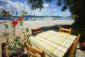 Marianthi Apartments_lowest prices_in_Apartment_Thessaly_Magnesia_Milina