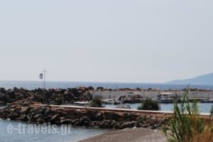 Pantelis Studio_lowest prices_in_Hotel_Aegean Islands_Chios_Chios Rest Areas