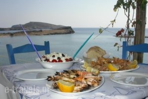 Armonia By Grispos Villas_best deals_Villa_Cyclades Islands_Schinousa_Schinousa Chora