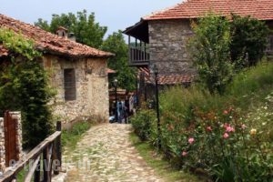 To Xani_holidays_in_Hotel_Macedonia_Pieria_Paleos Panteleimonas