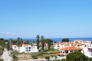 Hotel Pefko_holidays_in_Hotel_Macedonia_Halkidiki_Neos Marmaras