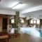 Vasilitsa Spa Resort_holidays_in_Hotel_Epirus_Ioannina_Fraggades