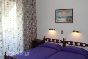 Rachel Hotel_holidays_in_Hotel_PiraeusIslands - Trizonia_Aigina_Aigina Chora