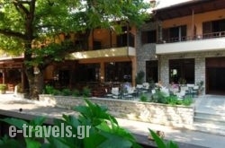 Hotel Papanastasiou in Trikala City, Trikala, Thessaly