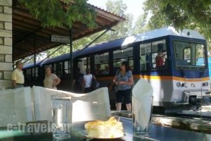Hotel Afrika_travel_packages_in_Peloponesse_Achaia_Kalavryta