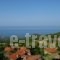 Erato 2_lowest prices_in_Room_Macedonia_Pieria_Paleos Panteleimonas