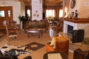 Hotel Ilianna_best deals_Hotel_Thessaly_Magnesia_Neochori