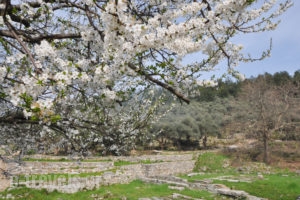 Green View Luxury Apartments_holidays_in_Room_Ionian Islands_Kefalonia_Karavados