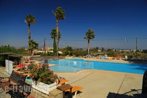 Ampavris_lowest prices_in_Apartment_Dodekanessos Islands_Kos_Kos Chora