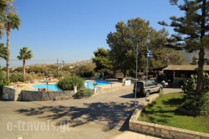 Ampavris_holidays_in_Apartment_Dodekanessos Islands_Kos_Kos Chora