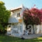 Ampavris_accommodation_in_Apartment_Dodekanessos Islands_Kos_Kos Chora