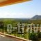 Sunshine Studios_holidays_in_Room_Ionian Islands_Kefalonia_Karavados