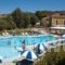 Plubis Studios_accommodation_in_Hotel_Ionian Islands_Zakinthos_Kalamaki