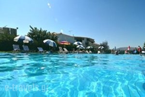Plubis Studios_best prices_in_Hotel_Ionian Islands_Zakinthos_Kalamaki