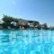 Plubis Studios_best prices_in_Hotel_Ionian Islands_Zakinthos_Kalamaki