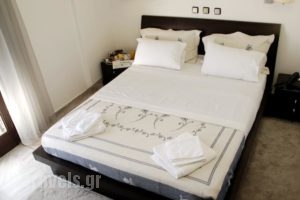 Hotel Galaxidi_accommodation_in_Hotel_Central Greece_Fokida_Galaxidi