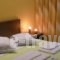 Hotel Giorgio_holidays_in_Hotel_Central Greece_Attica_Acharnes (Menidi)