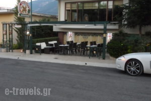 Prigipikon_holidays_in_Hotel_Central Greece_Fthiotida_Loutra Ypatis
