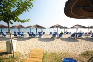 Hotel Rigakis_best deals_Hotel_Macedonia_Halkidiki_Kassandreia