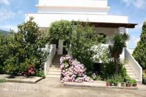 Villa Dina_holidays_in_Villa_Ionian Islands_Corfu_Corfu Rest Areas