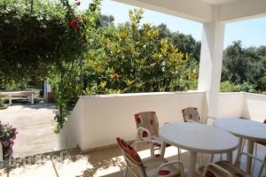 Villa Dina_lowest prices_in_Villa_Ionian Islands_Corfu_Corfu Rest Areas