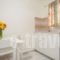 Marileta Apartments_best prices_in_Apartment_Cyclades Islands_Naxos_Naxos chora