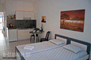 Galini Apartments_best deals_Apartment_Macedonia_Halkidiki_Nea Skioni