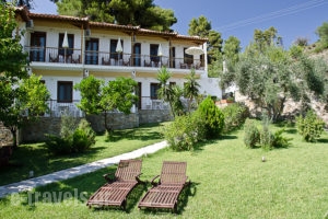 The Pine Trees_travel_packages_in_Sporades Islands_Skopelos_Agnondas