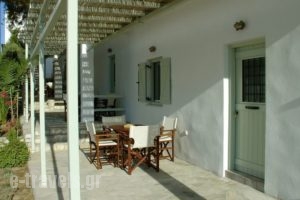 Mike's Place_holidays_in_Apartment_Cyclades Islands_Antiparos_Antiparos Chora