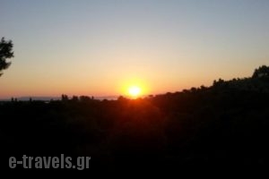 Grivas House_best prices_in_Hotel_Macedonia_Halkidiki_Chalkidiki Area