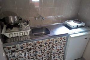 Rooms Kampouri_best prices_in_Room_Thessaly_Larisa_Stomio