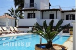 7 Islands in Spetses Chora, Spetses, Piraeus Islands - Trizonia