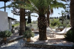 7 Islands_lowest prices_in_Hotel_Piraeus Islands - Trizonia_Spetses_Spetses Chora