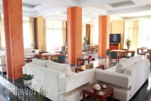 Pavlos Hotel_best deals_Hotel_Dodekanessos Islands_Kos_Kos Chora