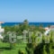 Kalamaki Beach_best prices_in_Hotel_Ionian Islands_Zakinthos_Zakinthos Rest Areas