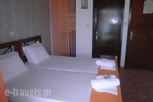 Anastasia Apartments_best prices_in_Room_Macedonia_Pieria_Leptokaria