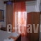 Anastasia Apartments_best deals_Room_Macedonia_Pieria_Leptokaria