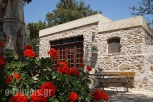 Chroussiano Farmhouse_best prices_in_Hotel_Cyclades Islands_Syros_Posidonia